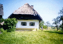 pityerszer.gif (10319 bytes)