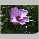 PIC00050.html