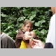 PIC00027.html